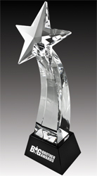 Crystal Star Award