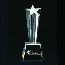 Rising Star Award (Large)