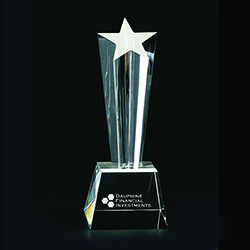 Rising Star Award (Small)