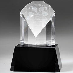 Optical Peacock Award (Large)