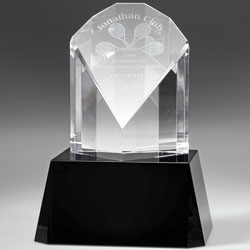 Optical Peacock Award (Medium)