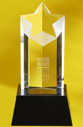 Optical Clear Star Award on Black Base (Large)