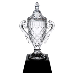 Champion's Cup Medium