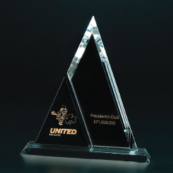 Triangle & Son Crystal Award