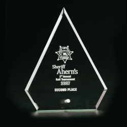 Stimulate Award (Small)