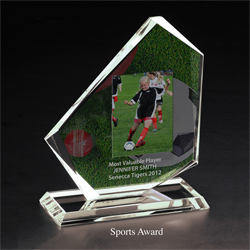 Color Sports Award