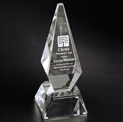 Excellence Award (Medium)